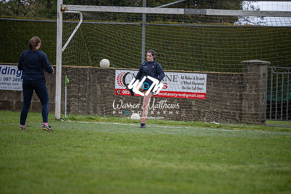 Louth v Wexford (Minor round 2) - 202503221348204600