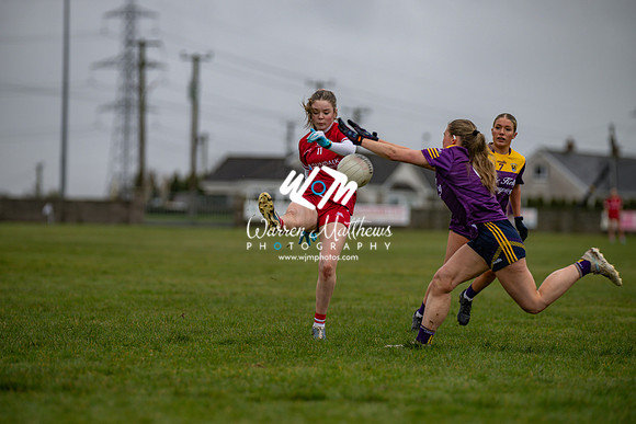 Louth v Wexford (Minor round 2) - 202503221404038700