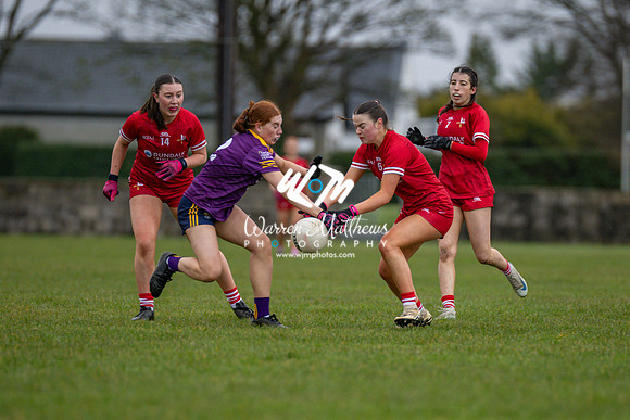 Louth v Wexford (Minor round 2) - 202503221403218300