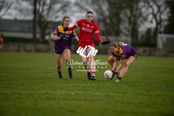 Louth v Wexford (Minor round 2) - 202503221415378400