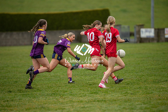 Louth v Wexford (Minor round 2) - 202503221458316400