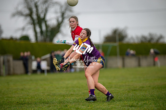 Louth v Wexford (Minor round 2) - 202503221426356000
