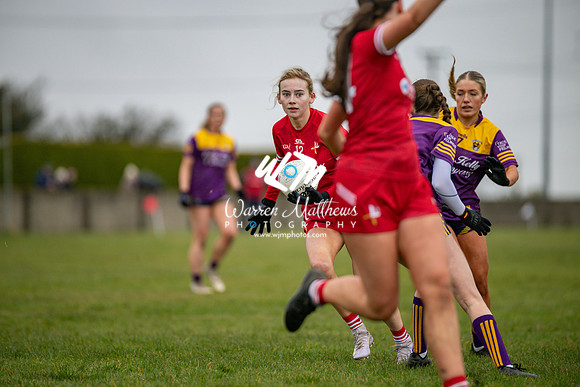 Louth v Wexford (Minor round 2) - 202503221430488900