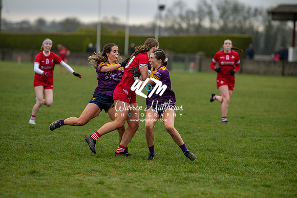 Louth v Wexford (Minor round 2) - 202503221521176600