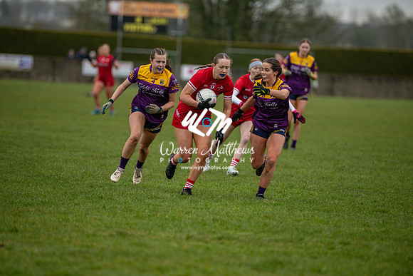 Louth v Wexford (Minor round 2) - 202503221521154900