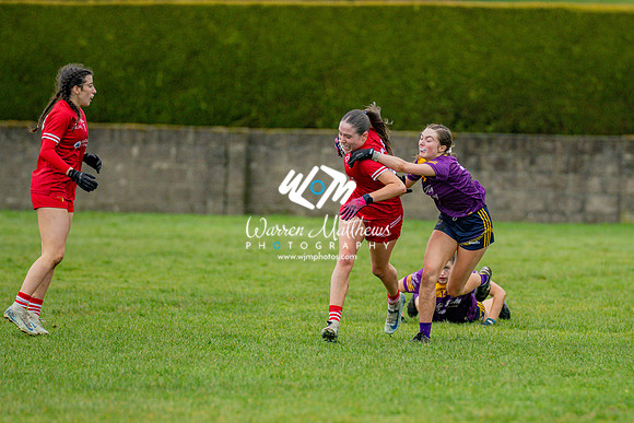 Louth v Wexford (Minor round 2) - 202503221454170500