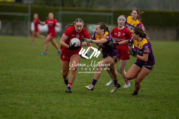 Louth v Wexford (Minor round 2) - 202503221521145400