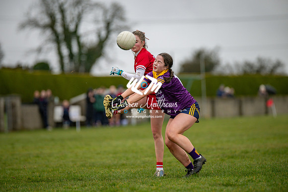 Louth v Wexford (Minor round 2) - 202503221426355500