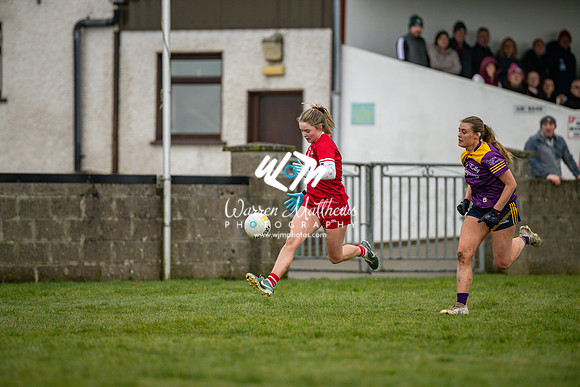 Louth v Wexford (Minor round 2) - 202503221423071300
