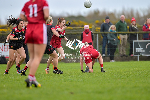 20240316 - Down v Louth (NFL Div 3 Round 6) - 202403171455032700