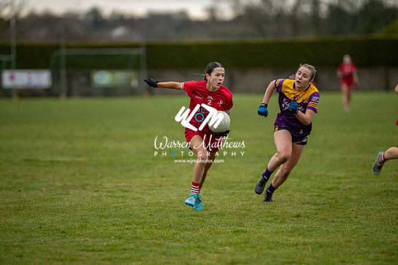 Louth v Wexford (Minor round 2) - 202503221458227100