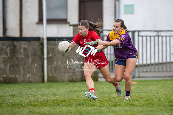 Louth v Wexford (Minor round 2) - 202503221402221300