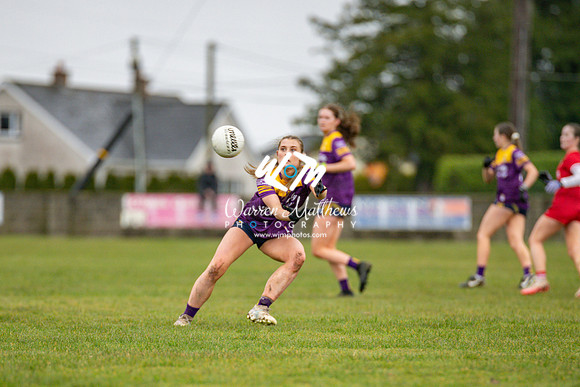 Louth v Wexford (Minor round 2) - 202503221427410200