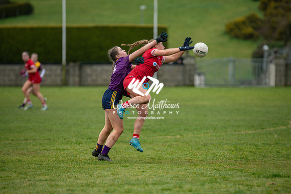 Louth v Wexford (Minor round 2) - 202503221455241700