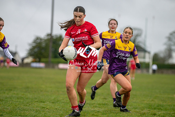 Louth v Wexford (Minor round 2) - 202503221430510400
