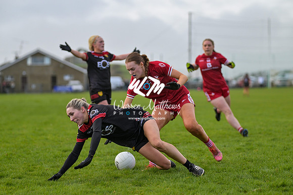 20240316 - Down v Louth (NFL Div 3 Round 6) - 202403171429224500