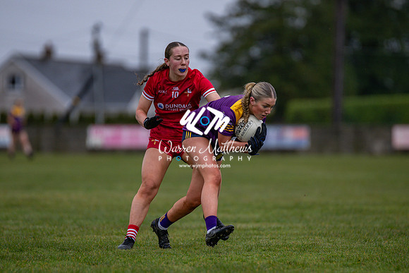 Louth v Wexford (Minor round 2) - 202503221405326500