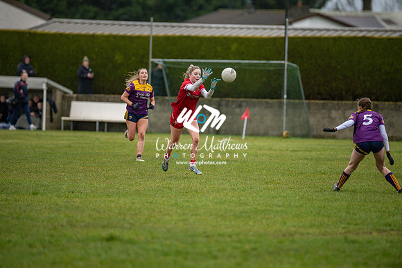 Louth v Wexford (Minor round 2) - 202503221512485500