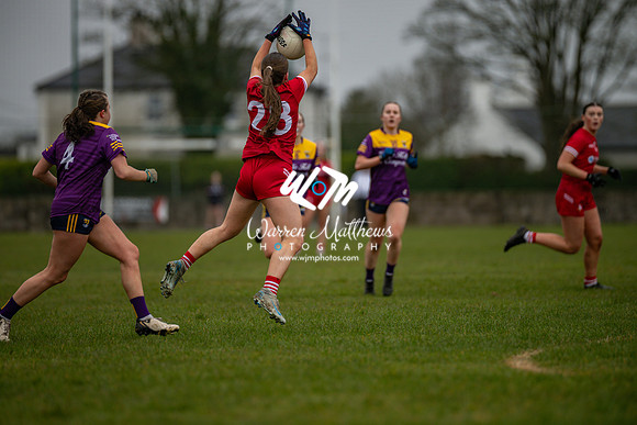 Louth v Wexford (Minor round 2) - 202503221407155800