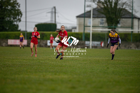 Louth v Wexford (Minor round 2) - 202503221414564200