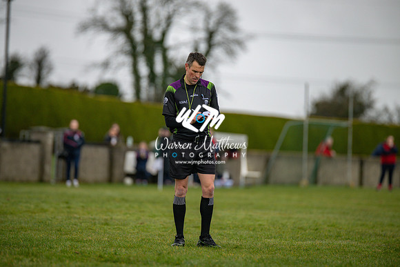 Louth v Wexford (Minor round 2) - 202503221415133100