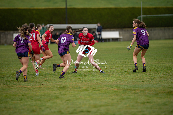 Louth v Wexford (Minor round 2) - 202503221455049800