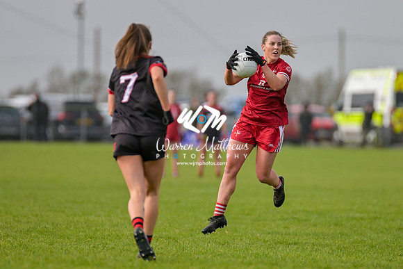 20240316 - Down v Louth (NFL Div 3 Round 6) - 202403171411359700