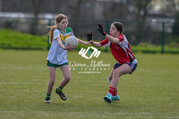 20240303 - Louth vs Clare (NFL Round 5) - 202403031443365600