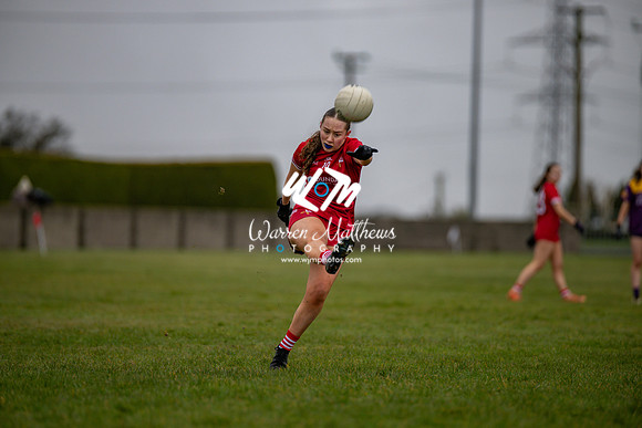 Louth v Wexford (Minor round 2) - 202503221405031700