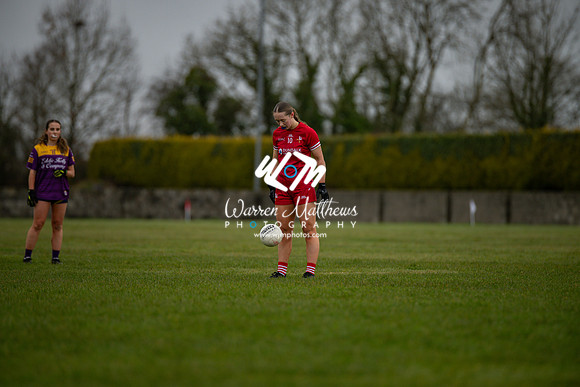 Louth v Wexford (Minor round 2) - 202503221411309100