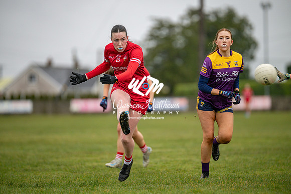 Louth v Wexford (Minor round 2) - 202503221407186900