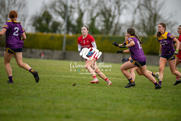 Louth v Wexford (Minor round 2) - 202503221422441000