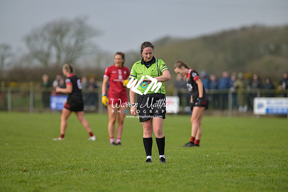 20240316 - Down v Louth (NFL Div 3 Round 6) - 202403171422424500