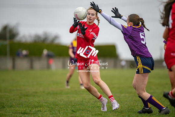 Louth v Wexford (Minor round 2) - 202503221430491900