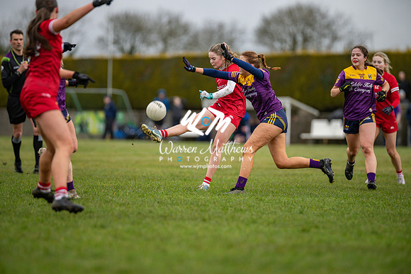 Louth v Wexford (Minor round 2) - 202503221426095600