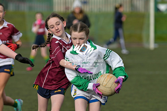 20240303 - Louth vs Clare (NFL Round 5) - 202403031443032400