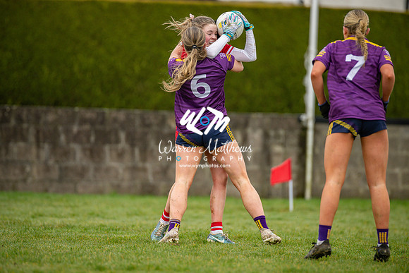 Louth v Wexford (Minor round 2) - 202503221423105300