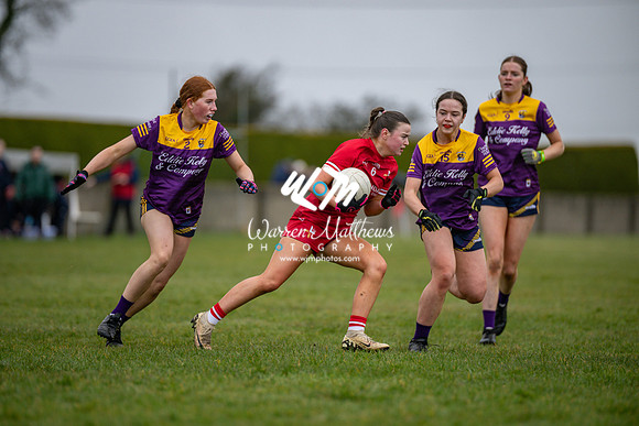 Louth v Wexford (Minor round 2) - 202503221404418800