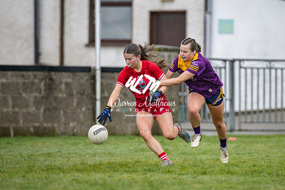 Louth v Wexford (Minor round 2) - 202503221402222400