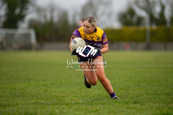 Louth v Wexford (Minor round 2) - 202503221426147500