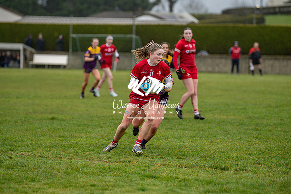 Louth v Wexford (Minor round 2) - 202503221521484600