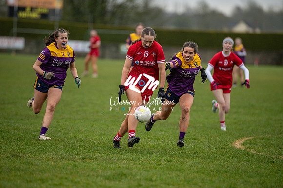 Louth v Wexford (Minor round 2) - 202503221521164600
