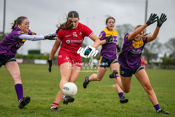 Louth v Wexford (Minor round 2) - 202503221430514400