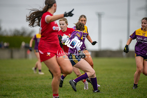 Louth v Wexford (Minor round 2) - 202503221430486800