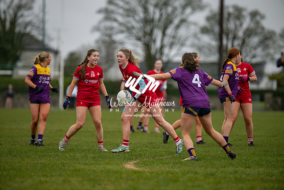 Louth v Wexford (Minor round 2) - 202503221411109900