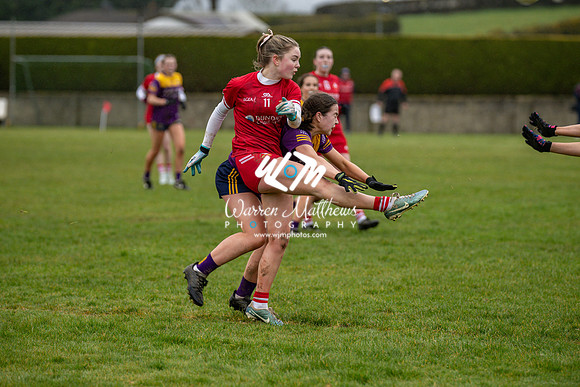 Louth v Wexford (Minor round 2) - 202503221521491800