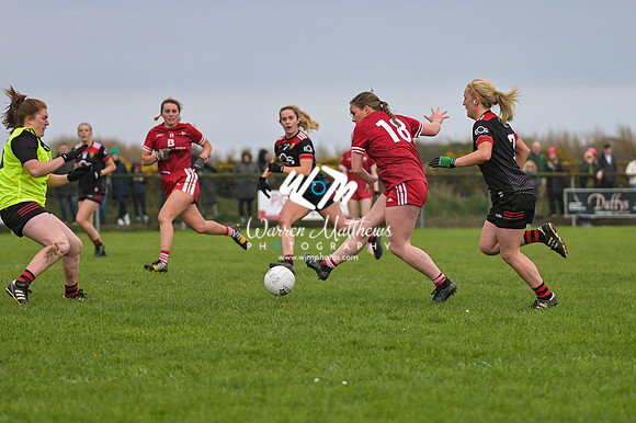 20240316 - Down v Louth (NFL Div 3 Round 6) - 202403171510162900