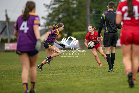 Louth v Wexford (Minor round 2) - 202503221426240800
