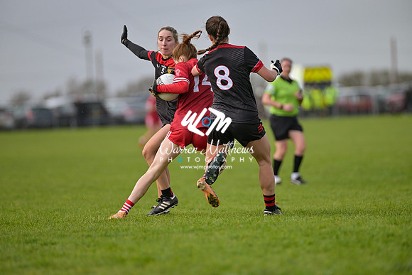 20240316 - Down v Louth (NFL Div 3 Round 6) - 202403171422185800