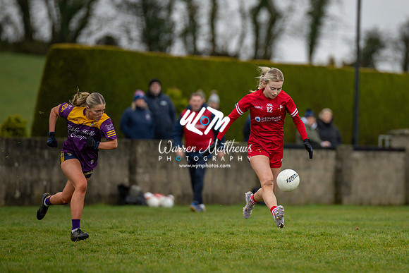 Louth v Wexford (Minor round 2) - 202503221430461000